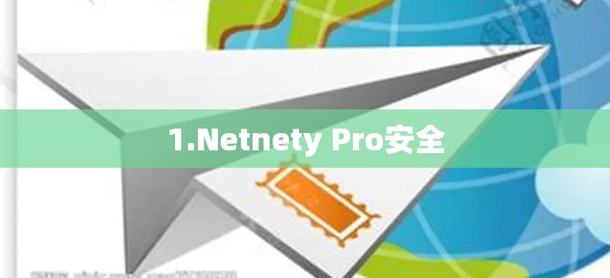 1.Netnety Pro安全